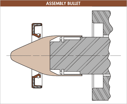 Assembly Bullet